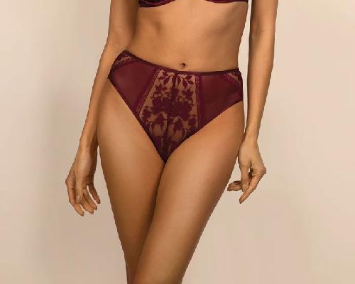 трусы классические ewa bien orlando (bordowy) bust-club.com