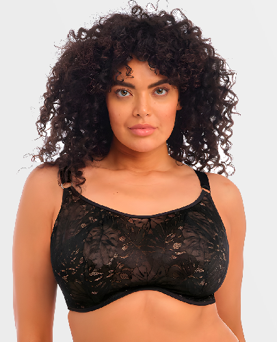 бюстгальтер elomi kelsey (black) bust-club.com